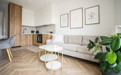 Nowoczesny salon z rośliną doniczkową oczyszczającą powietrze, jasną sofą i drewnianą kuchnią w tle.