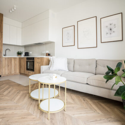 Nowoczesny salon z rośliną doniczkową oczyszczającą powietrze, jasną sofą i drewnianą kuchnią w tle.