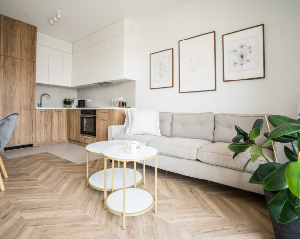 Nowoczesny salon z rośliną doniczkową oczyszczającą powietrze, jasną sofą i drewnianą kuchnią w tle.