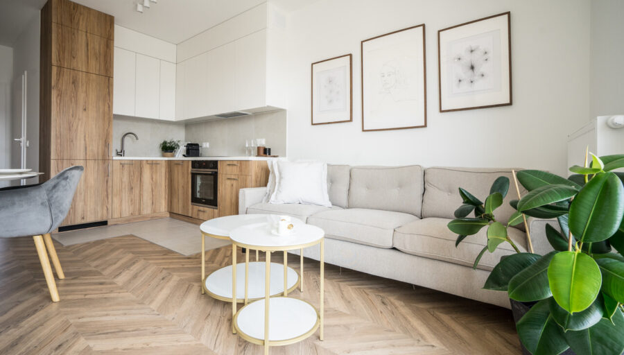 Nowoczesny salon z rośliną doniczkową oczyszczającą powietrze, jasną sofą i drewnianą kuchnią w tle.